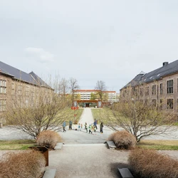 Leer sobre el proyecto Natural History Museum