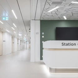 Lire à propos du projet New Building of the Cantonal Hospital Baden – Complete Fit-Out by the Lindner Group in Switzerland