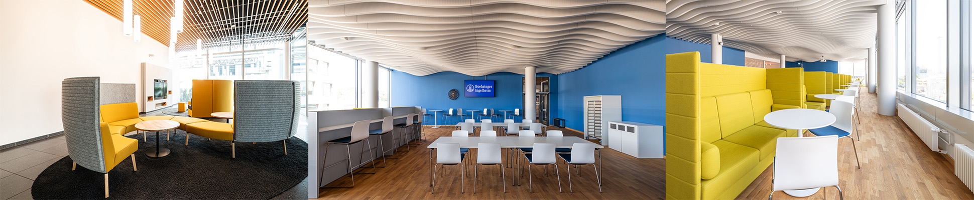 Leggi sul progetto BOEHRINGER INGELHEIM
