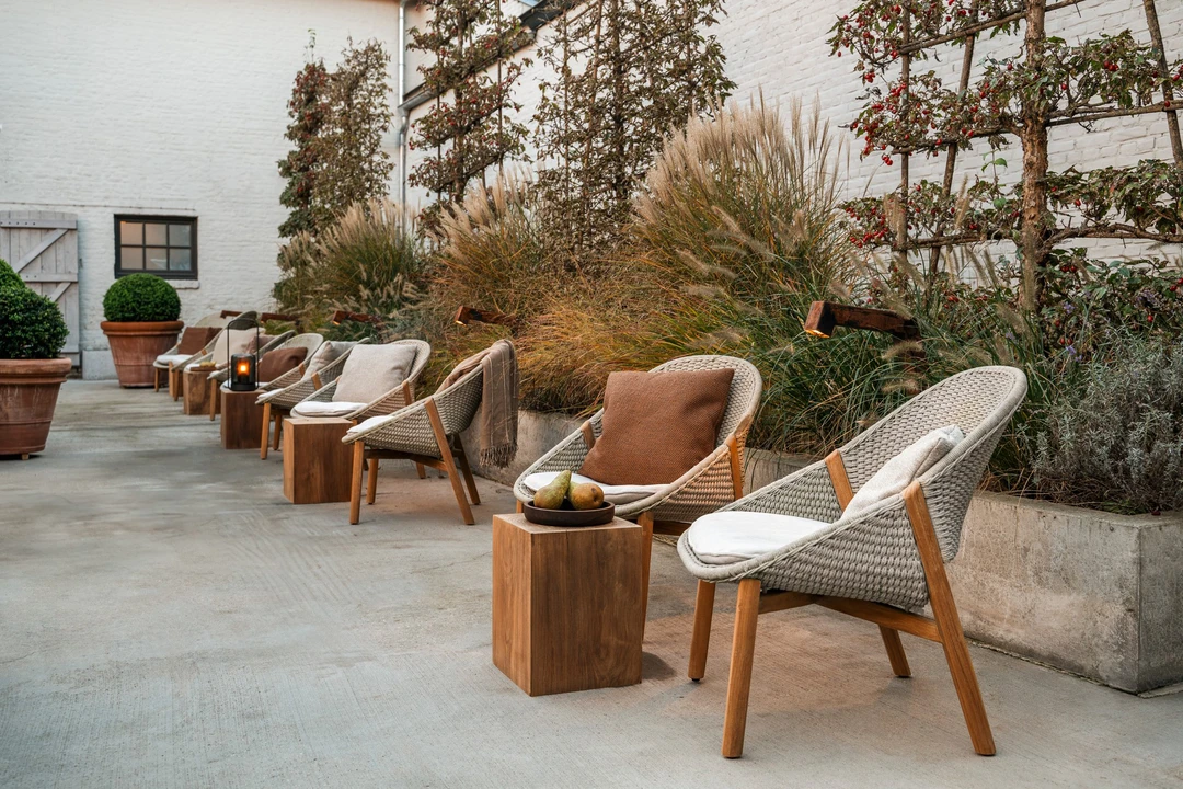 Erfahre mehr über das Projekt Brut