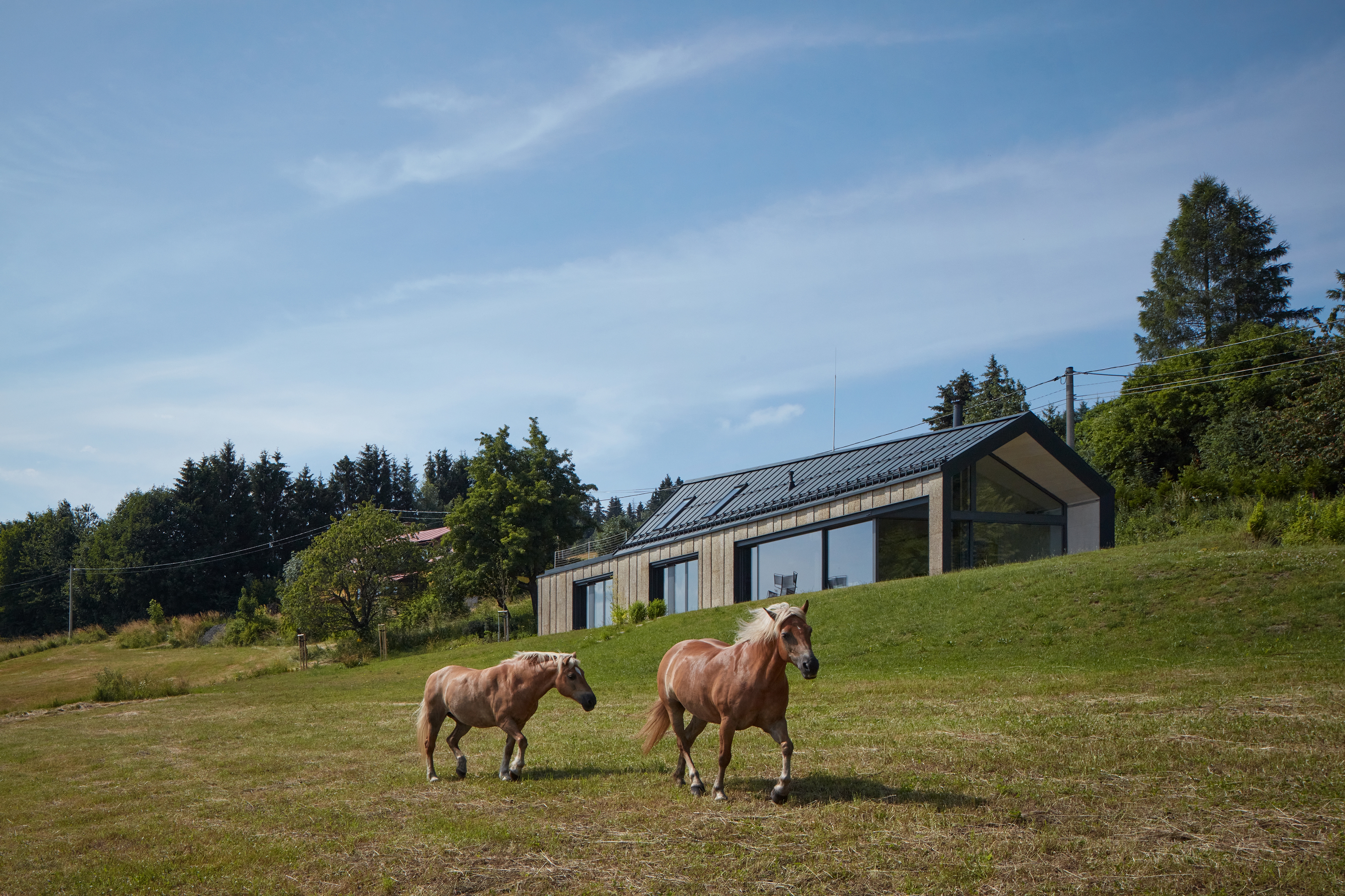 Erfahre mehr über das Projekt Family House at Rašovka