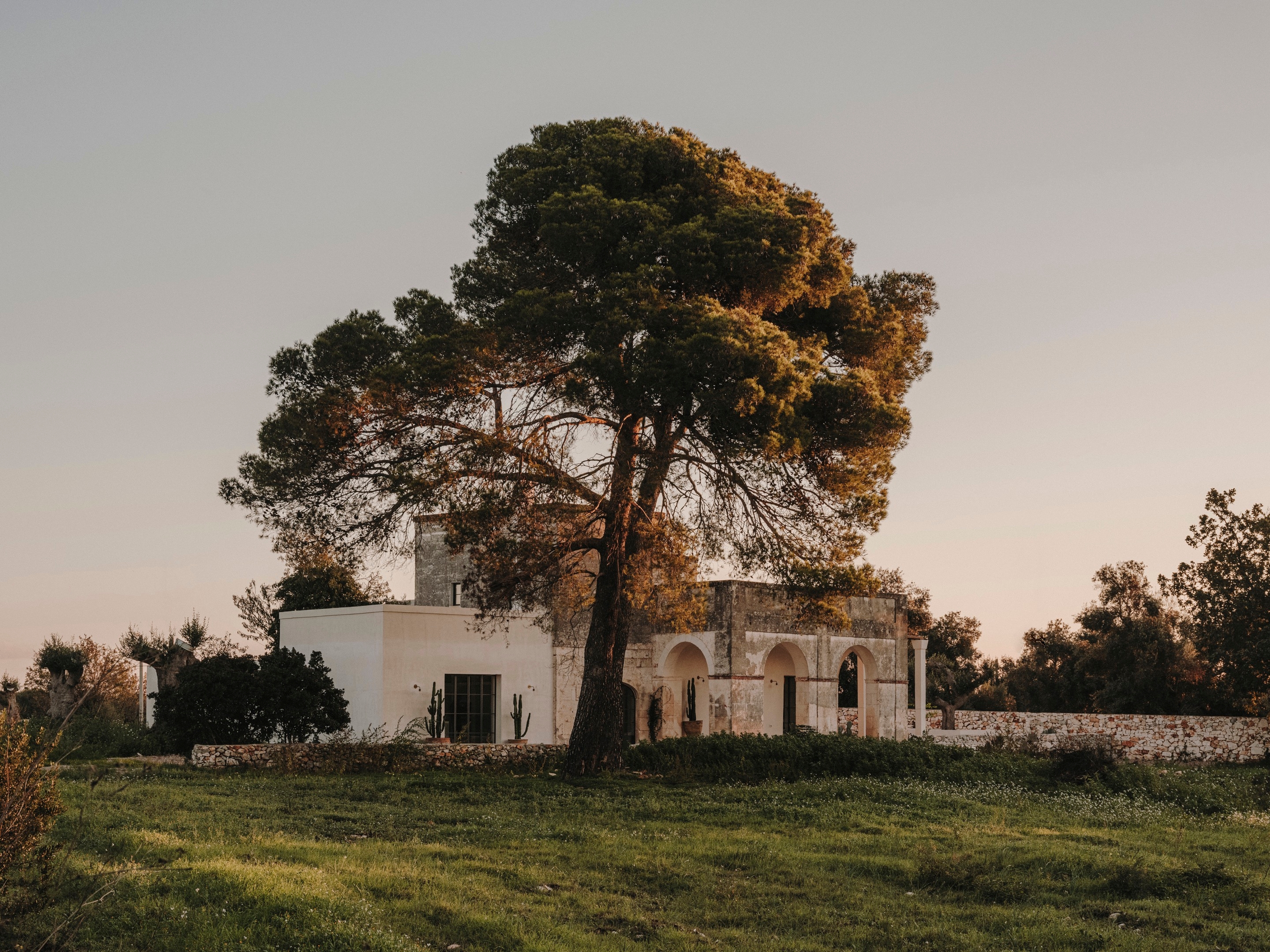 Lire à propos du projet Casolare Scarani House