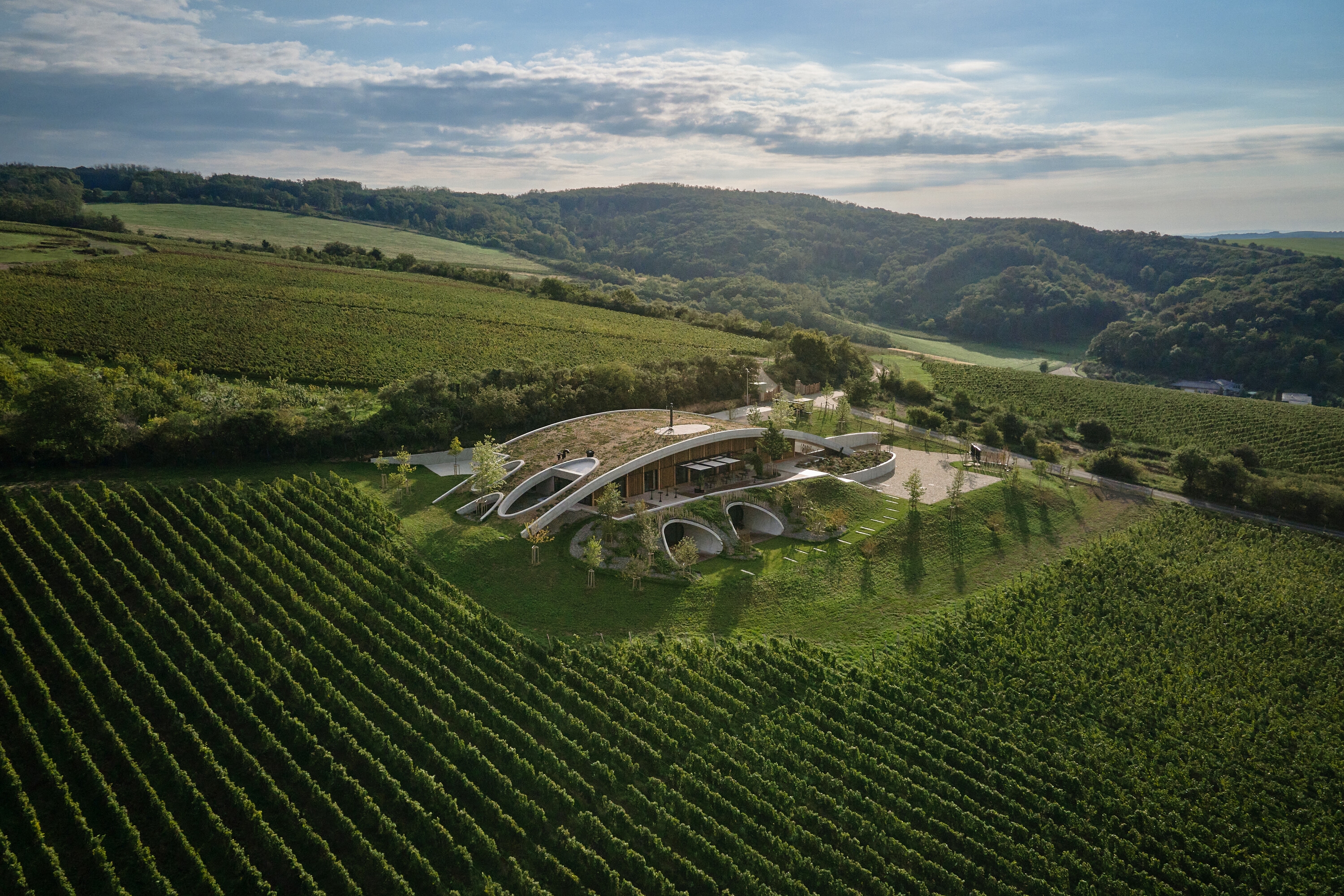 Lees oor projek Gurdau Winery