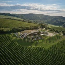 Read about project Gurdau Winery