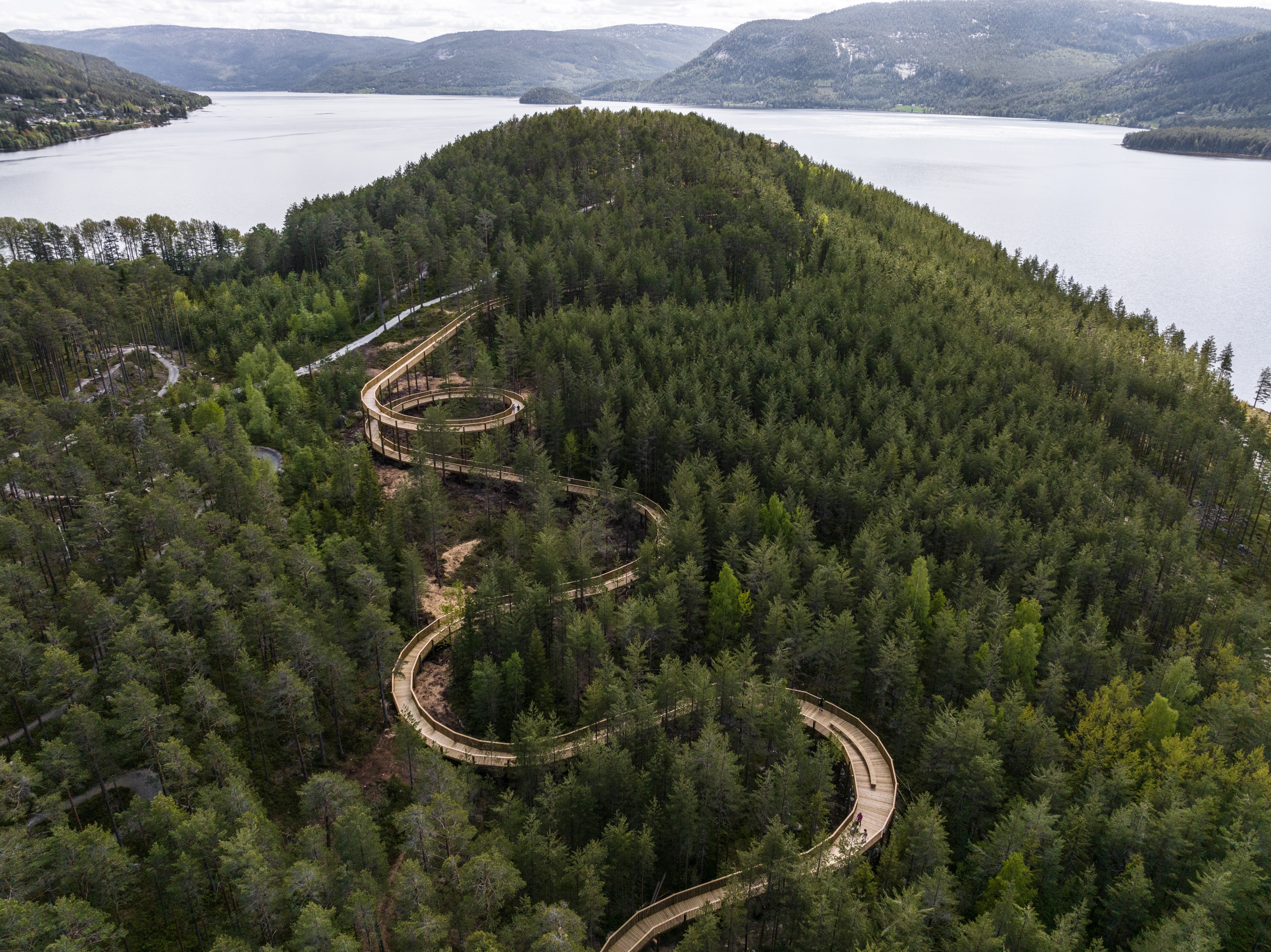 Leggi sul progetto Treetop Walk Hamaren Activity Park
