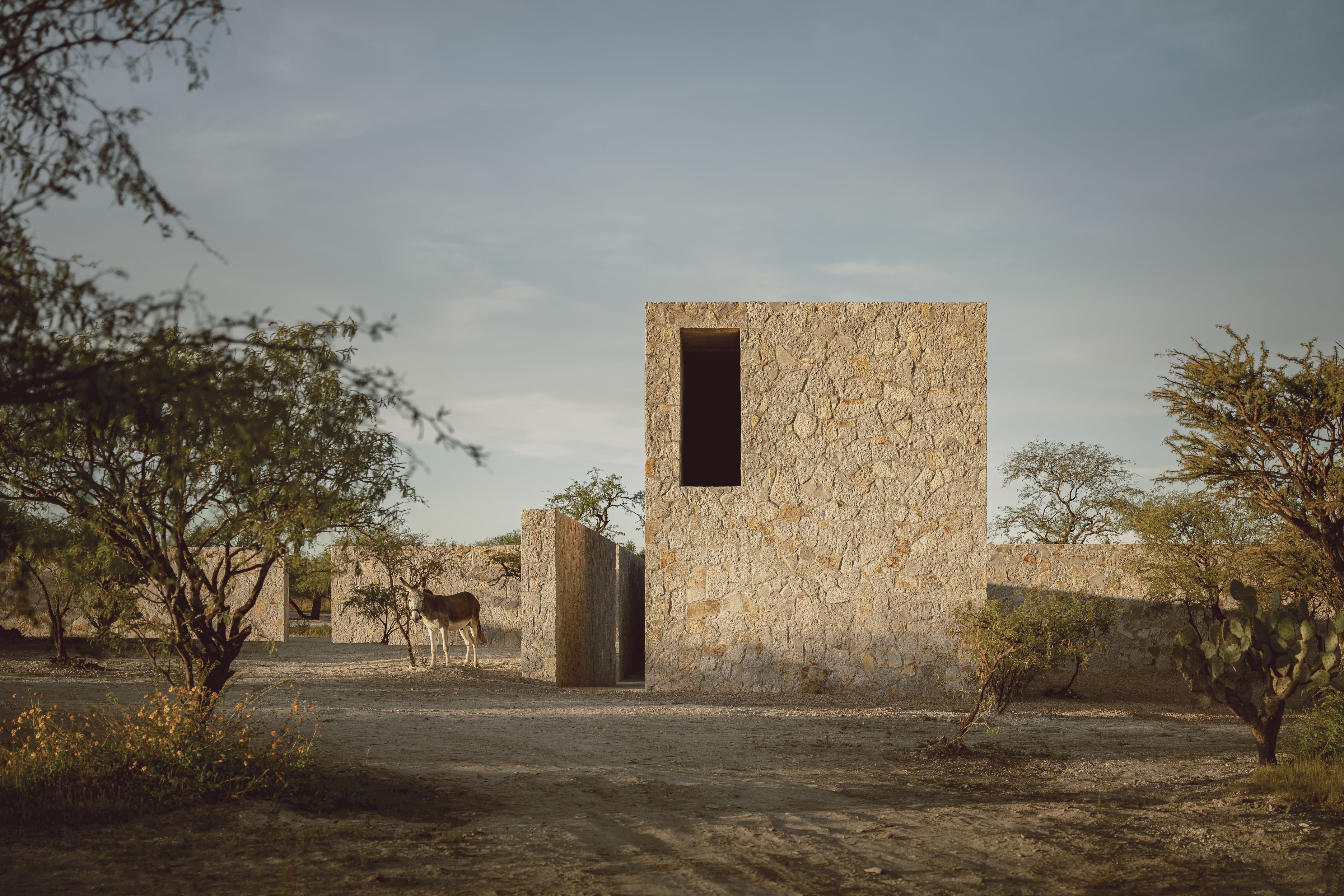 Read about project Casa Enso II