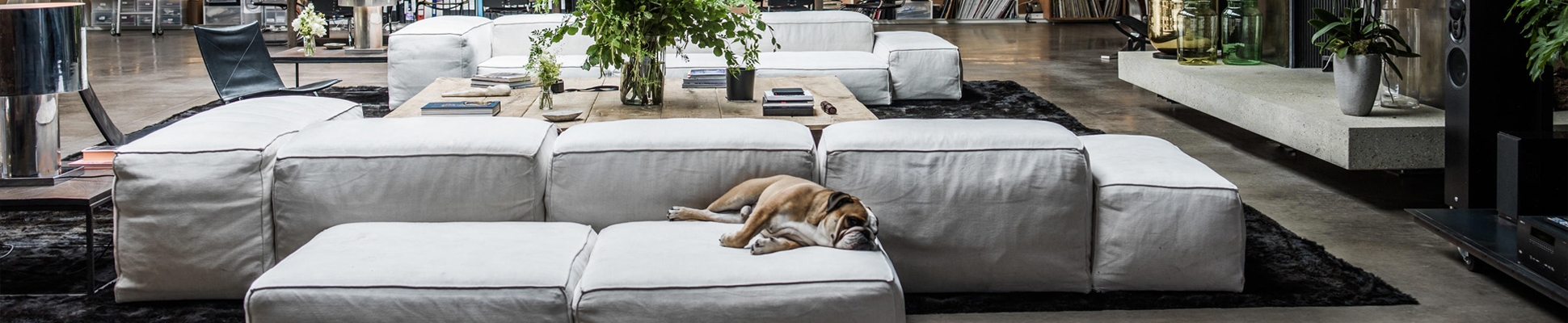 Erfahre mehr über das Projekt Camden Town