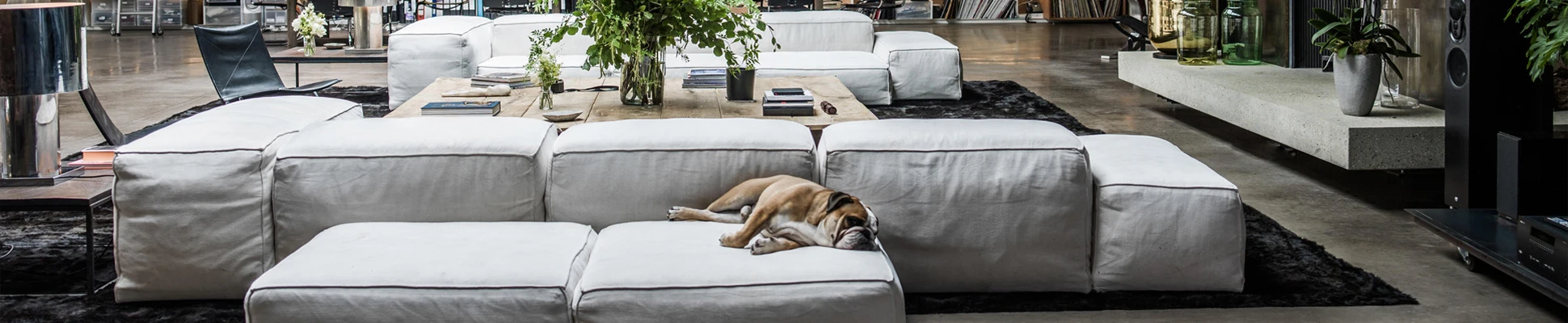 Project Header Image