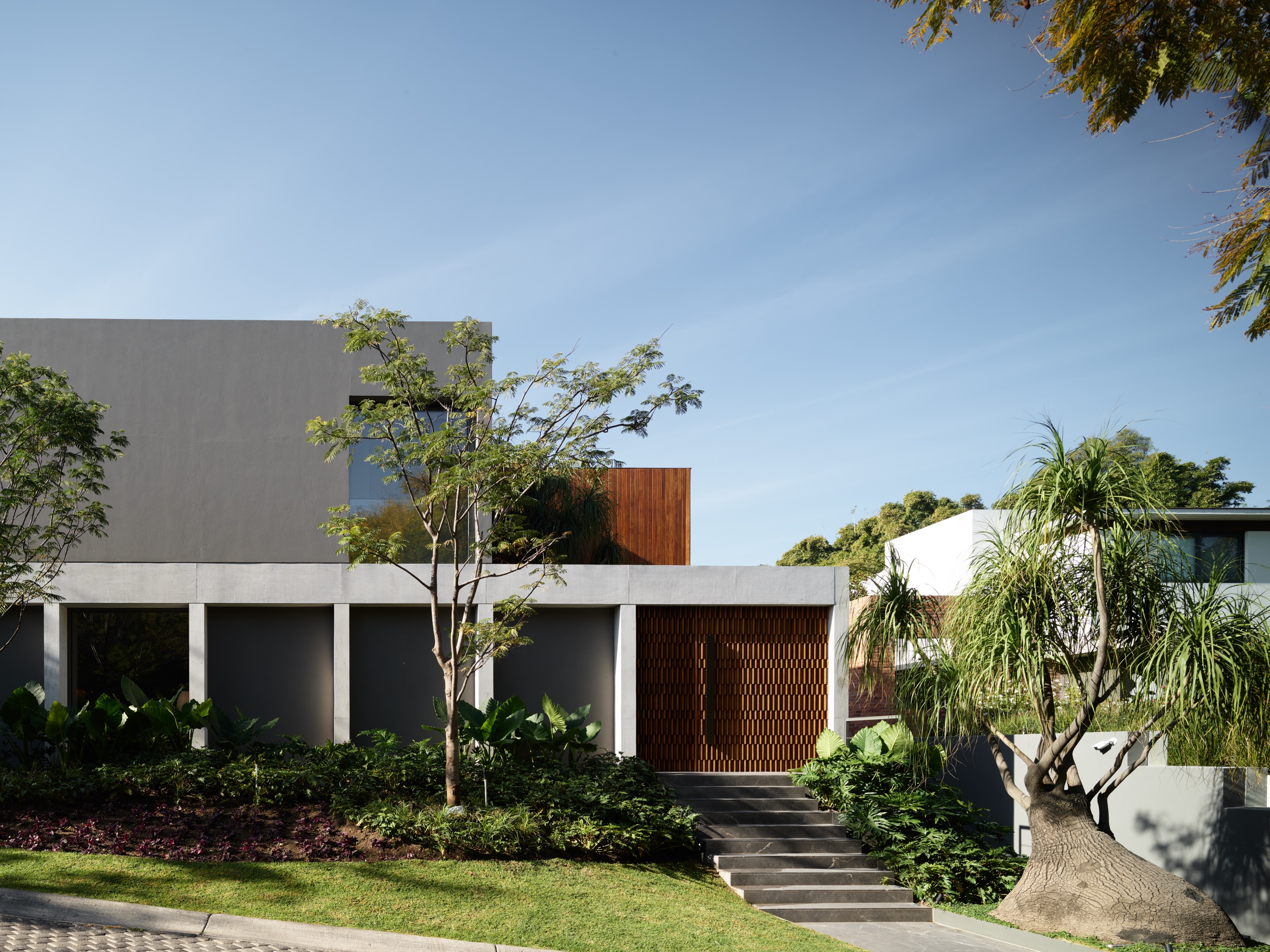 Read about project Los Jales House