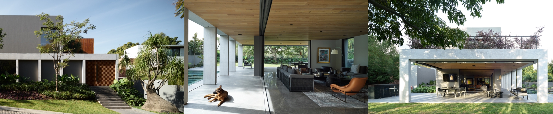 Read about project Los Jales House