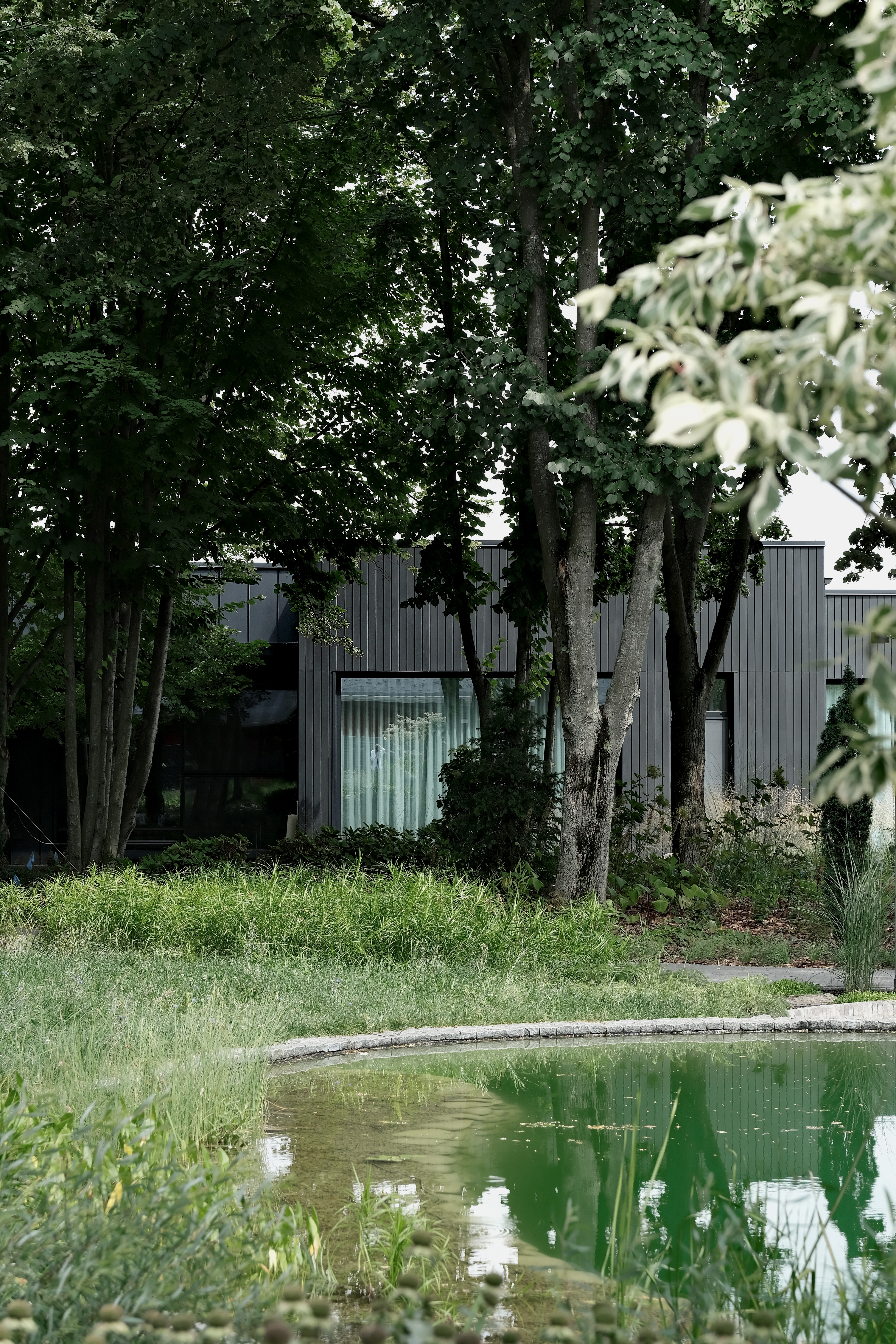 Read about project RYABINKI