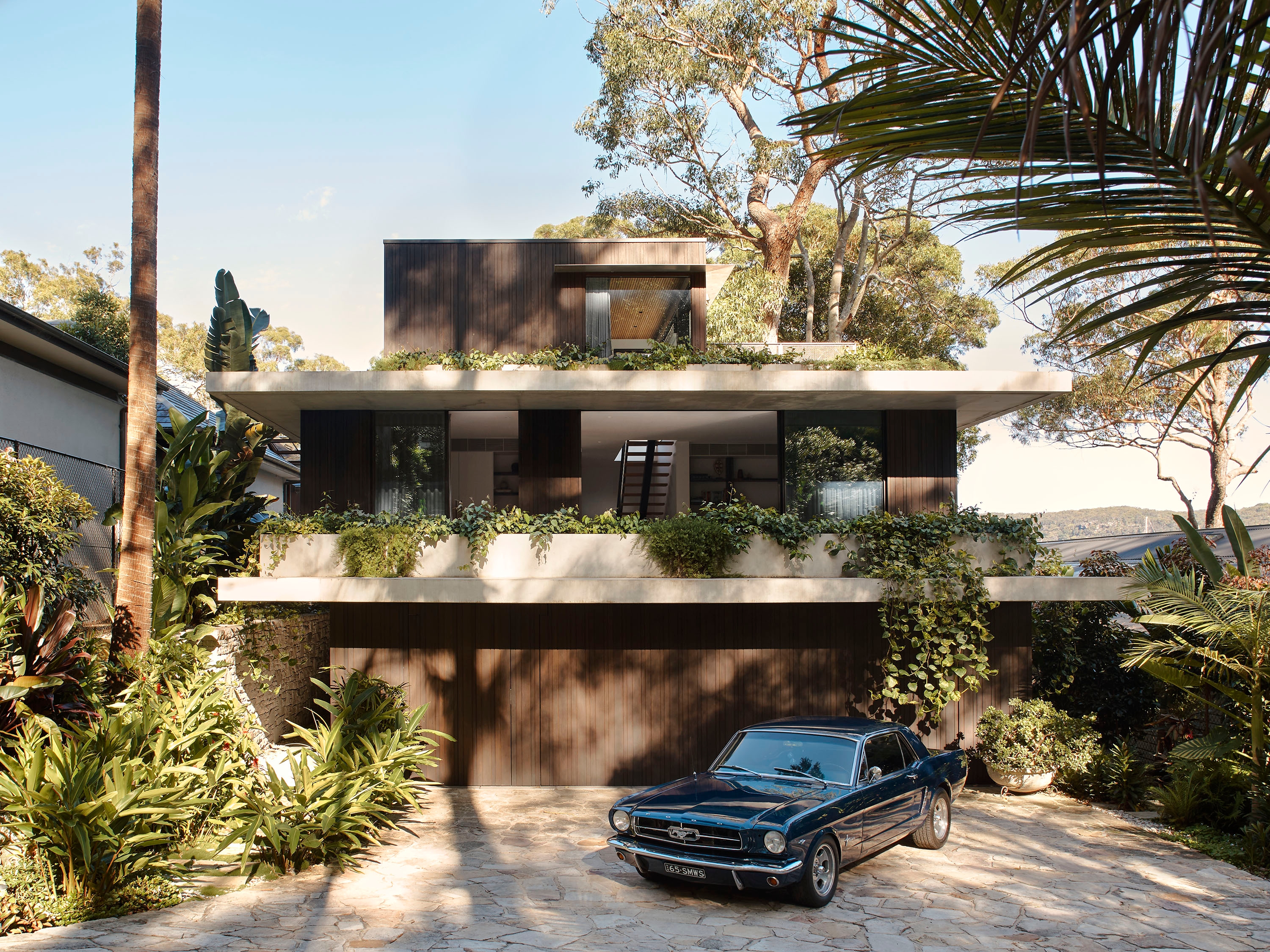 Read about project M House