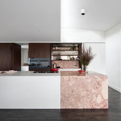 Read about project Thirroul Kitchen - Hide the mess