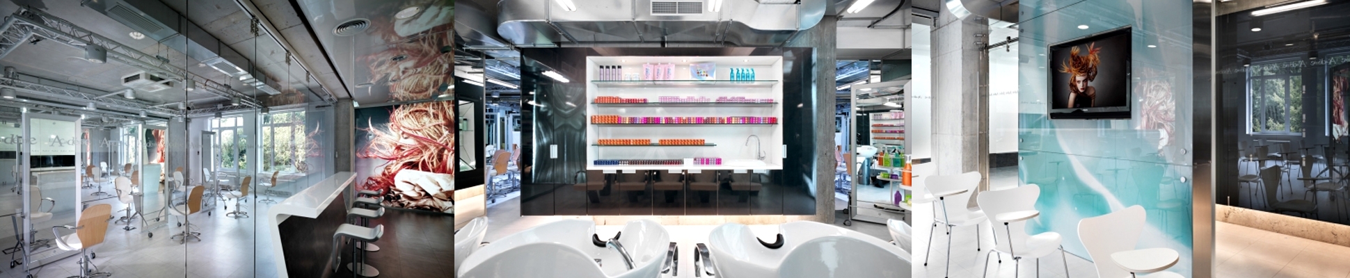 Read about project L'OREAL Academy