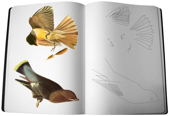 Read about project Forest Aesthetics