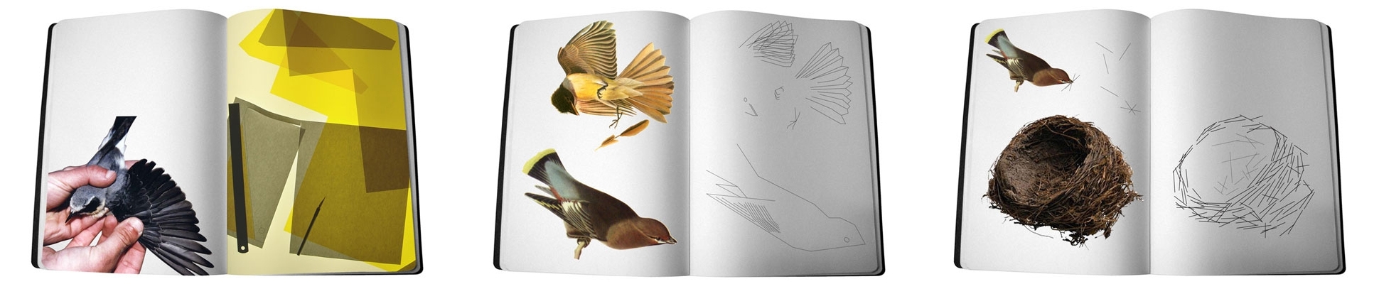 Read about project Forest Aesthetics