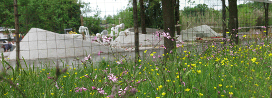 Read about project Sensational Park