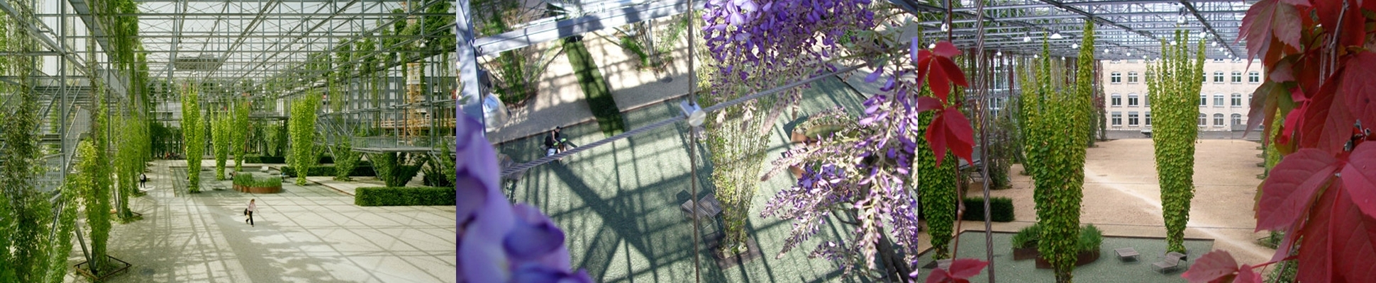 Read about project MFO-Park