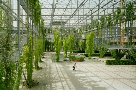 Read about project MFO-Park