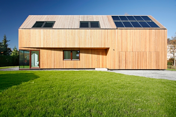 Leer sobre el proyecto Forestview
