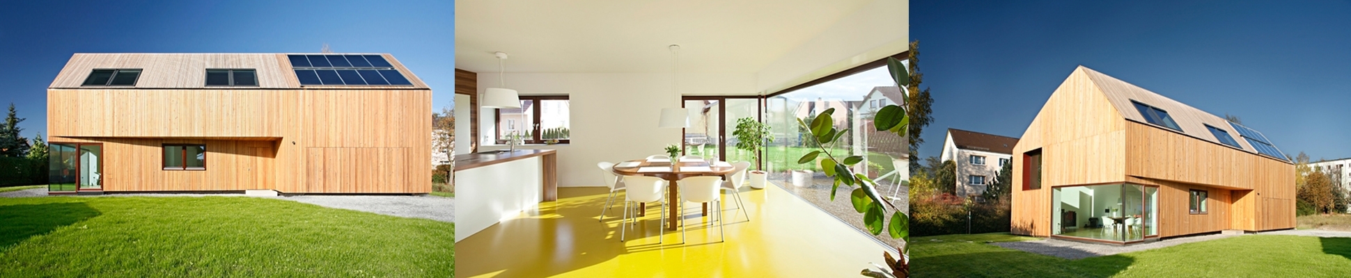 Erfahre mehr über das Projekt Waldblick