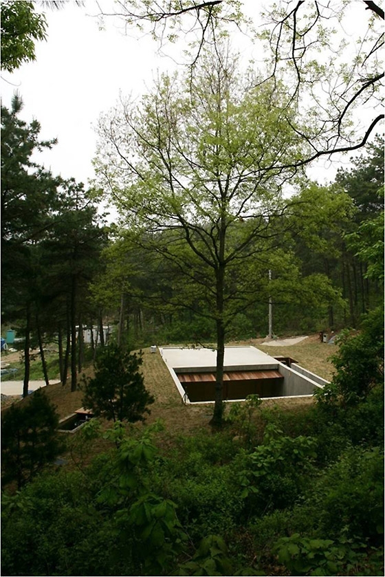 Read about project Earth House