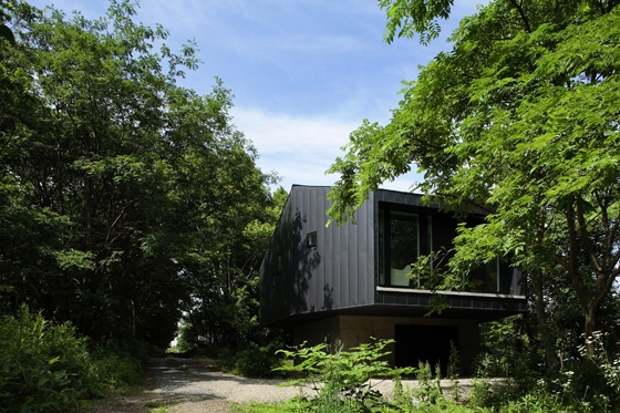 Read about project House in Forest