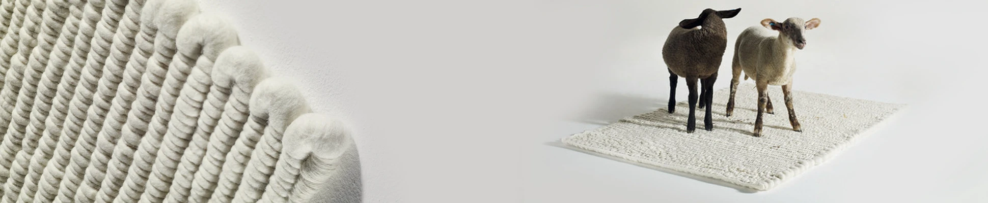 Project Header Image