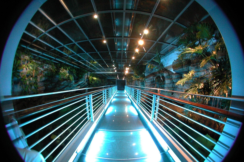 Lees oor projek Genoa Aquarium