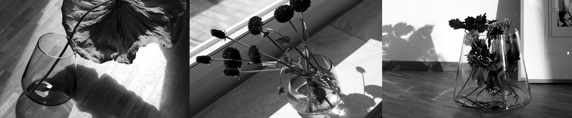 Read about project Frascati Haus