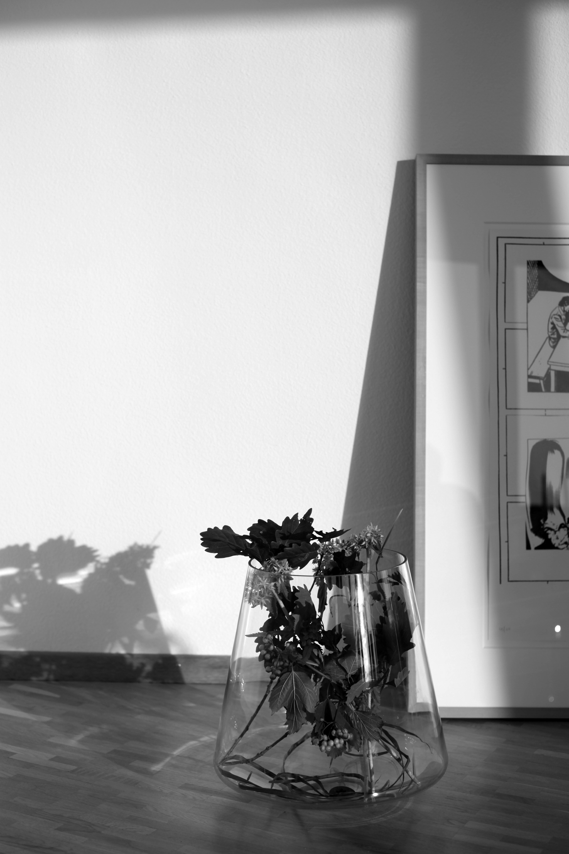 Read about project Frascati Haus