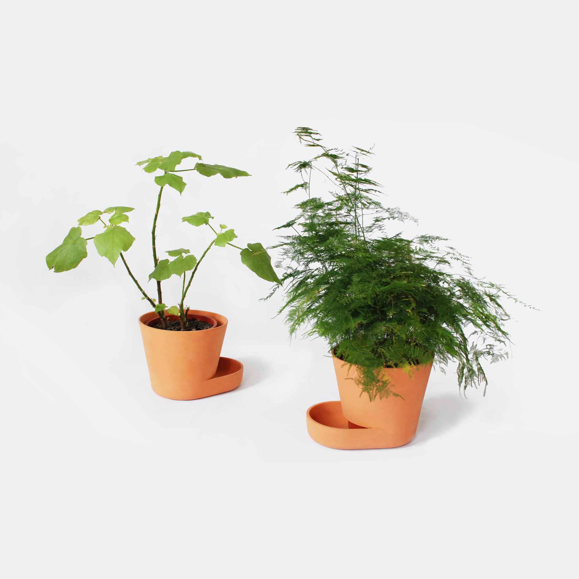 Read about project Plant Pot