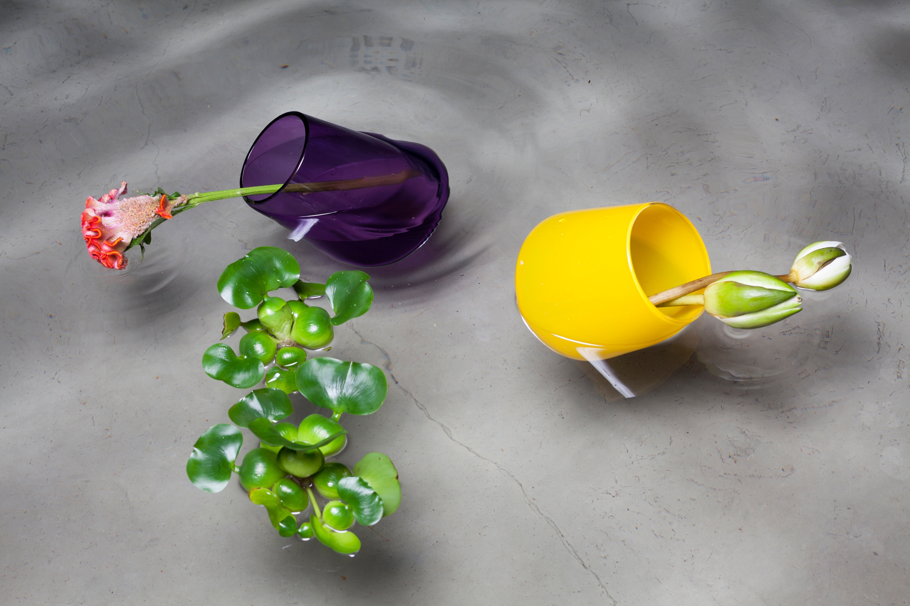 Read about project Stan & Harvey, Special Edition