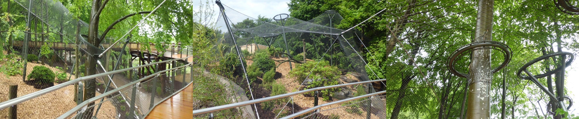 Leggi sul progetto Leopardengehege Ree Park