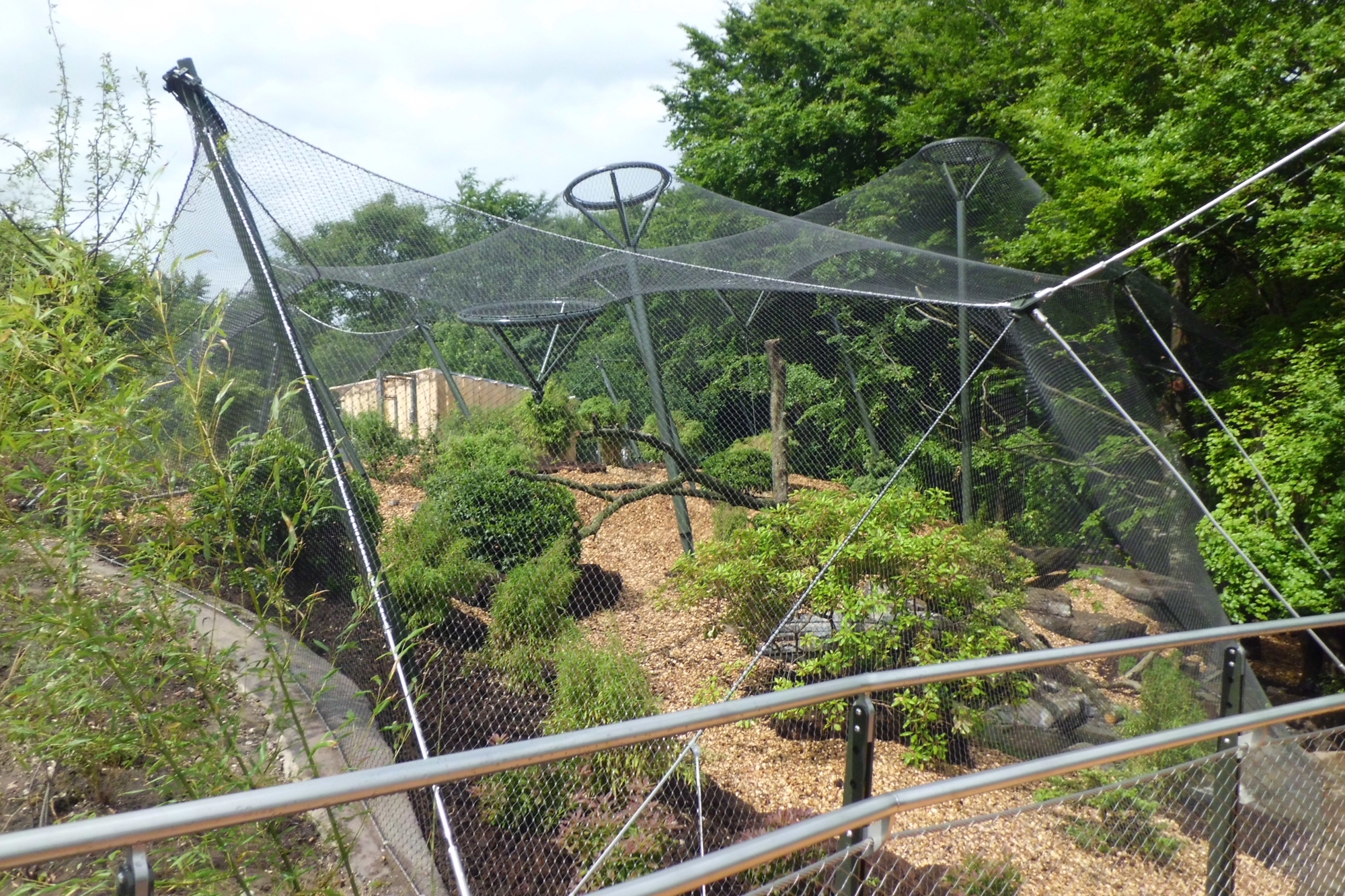 Read about project Leopardengehege Ree Park