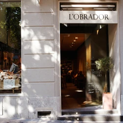 Lire à propos du projet Obrador’s