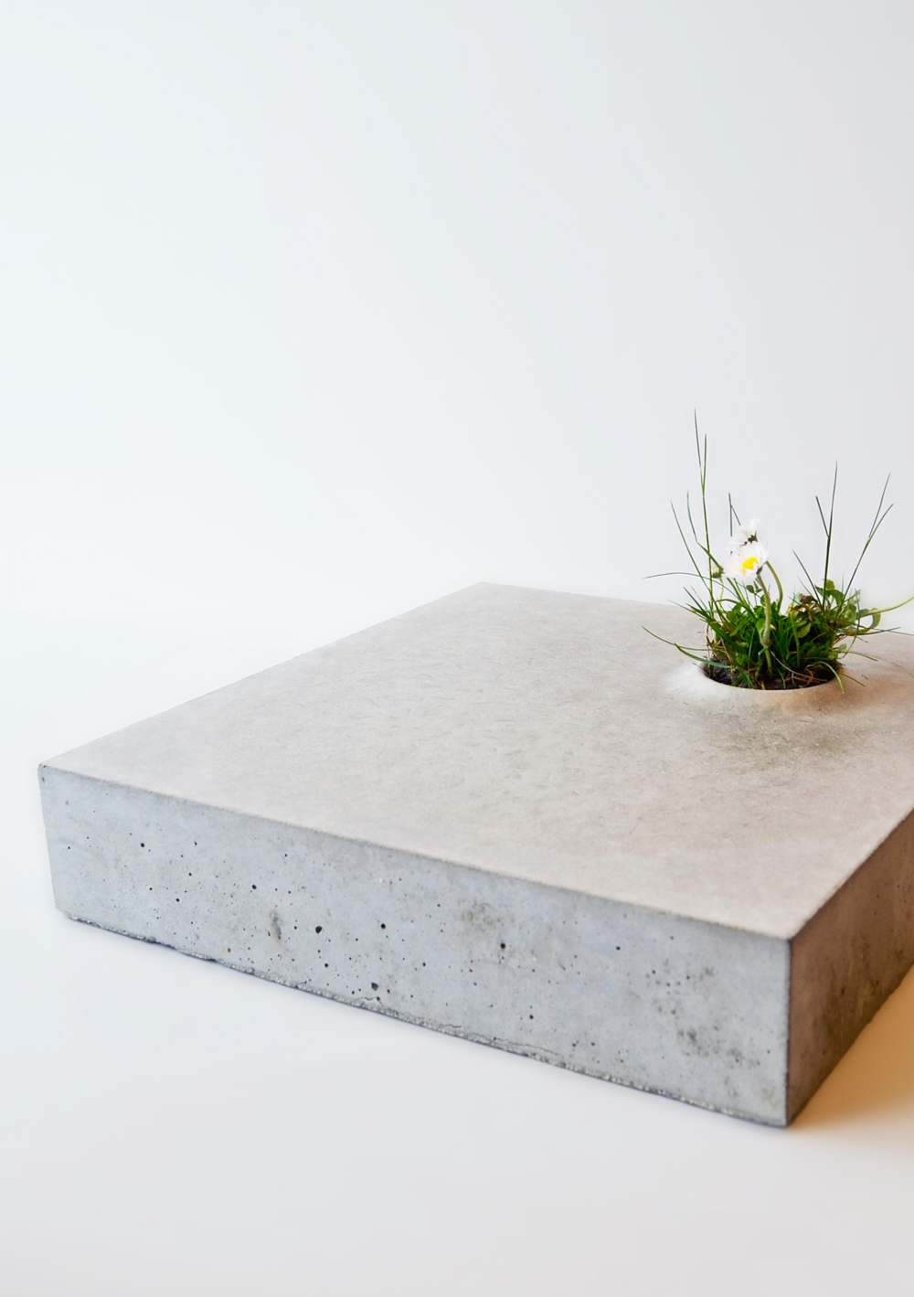 Leer sobre el proyecto Grey to green