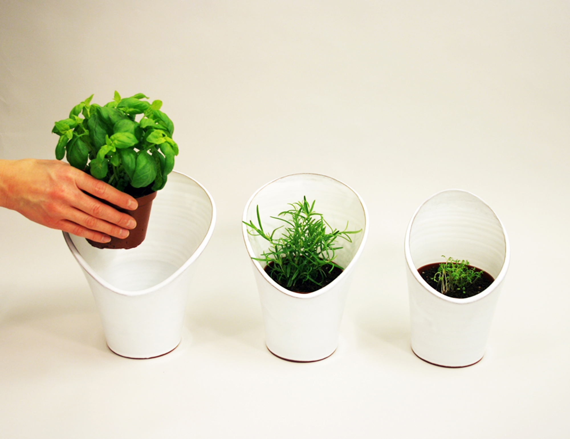 Leer sobre el proyecto Grow