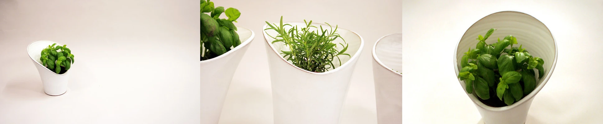 Project Header Image