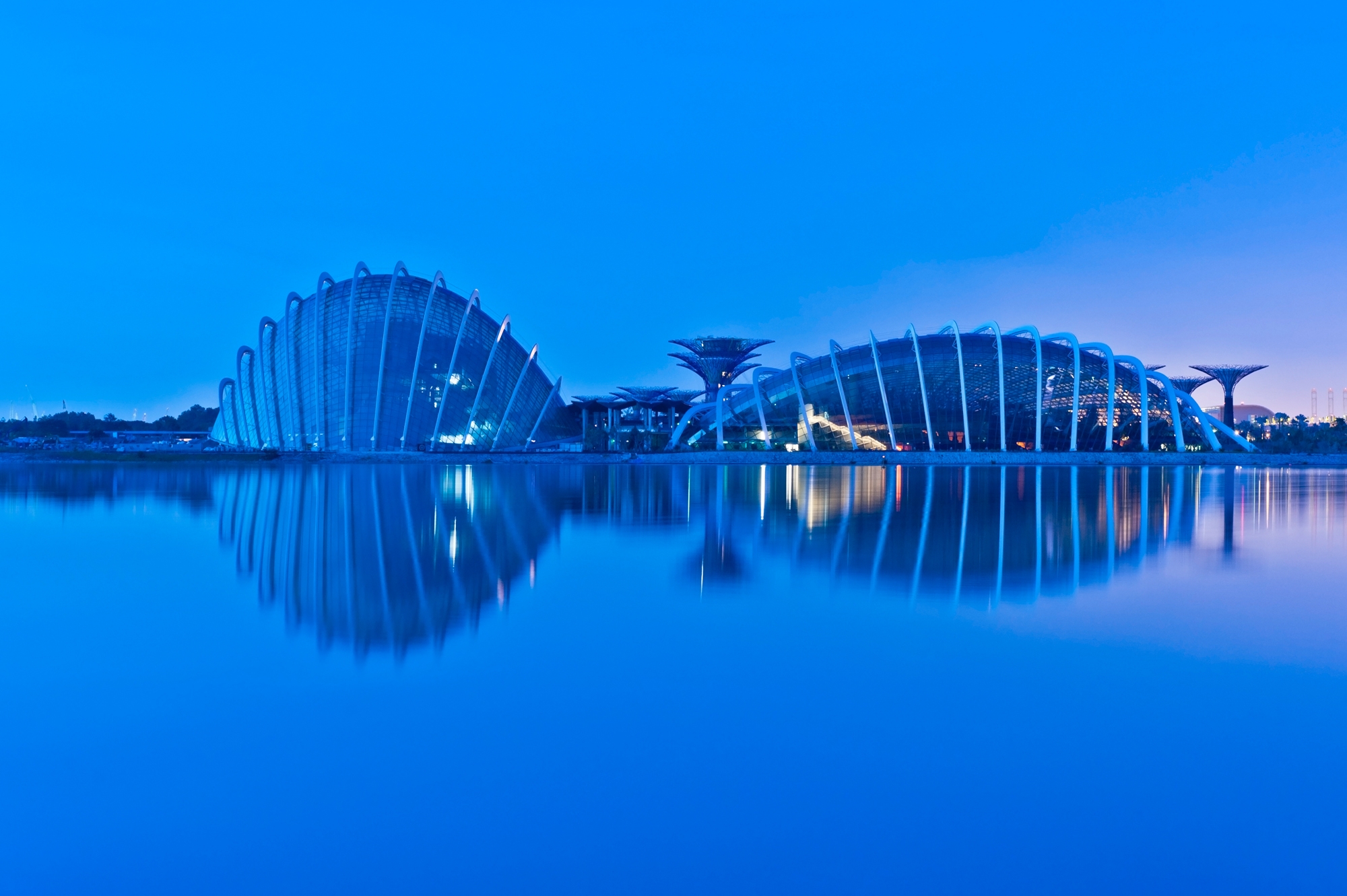 Read about project Cooled Conservatories at Gardens by the Bay