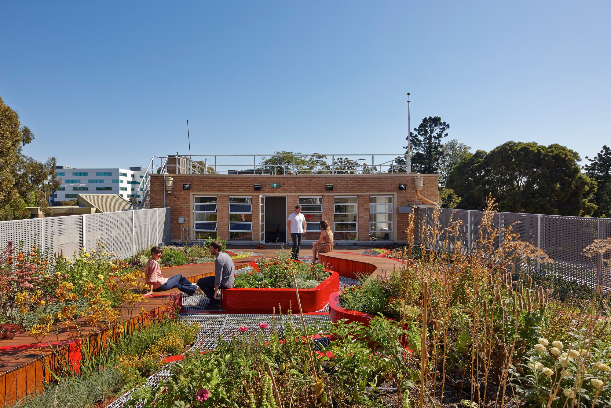 Leer sobre el proyecto Burnley Living Roofs