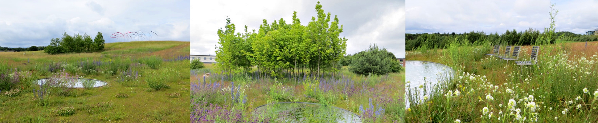 Leggi sul progetto Kvadrat | Glacial Expectations