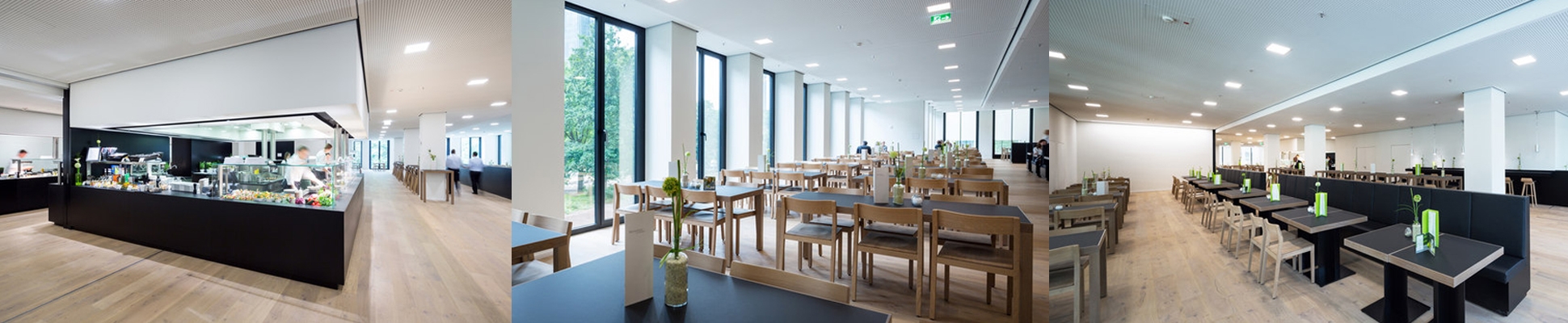 Read about project TaunusTurm