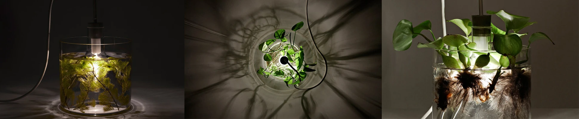 Project Header Image