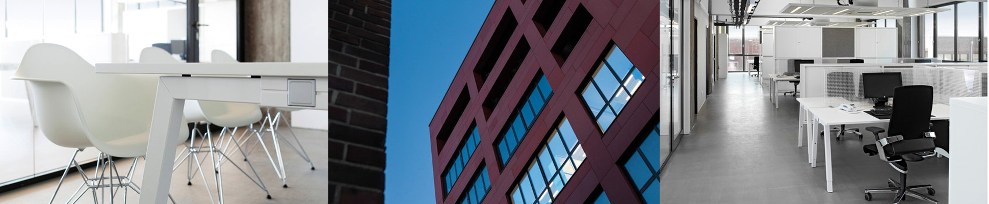 Leer sobre el proyecto alessandro International