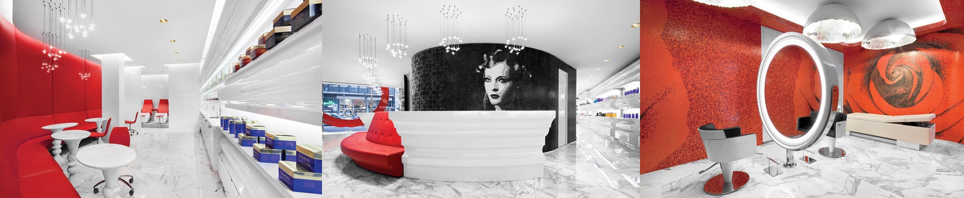 Read about project The Kingdom of Beauty