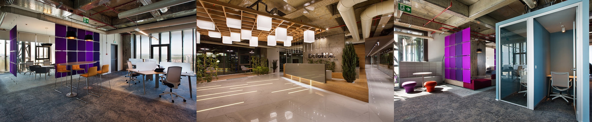 Leggi sul progetto Deloitte