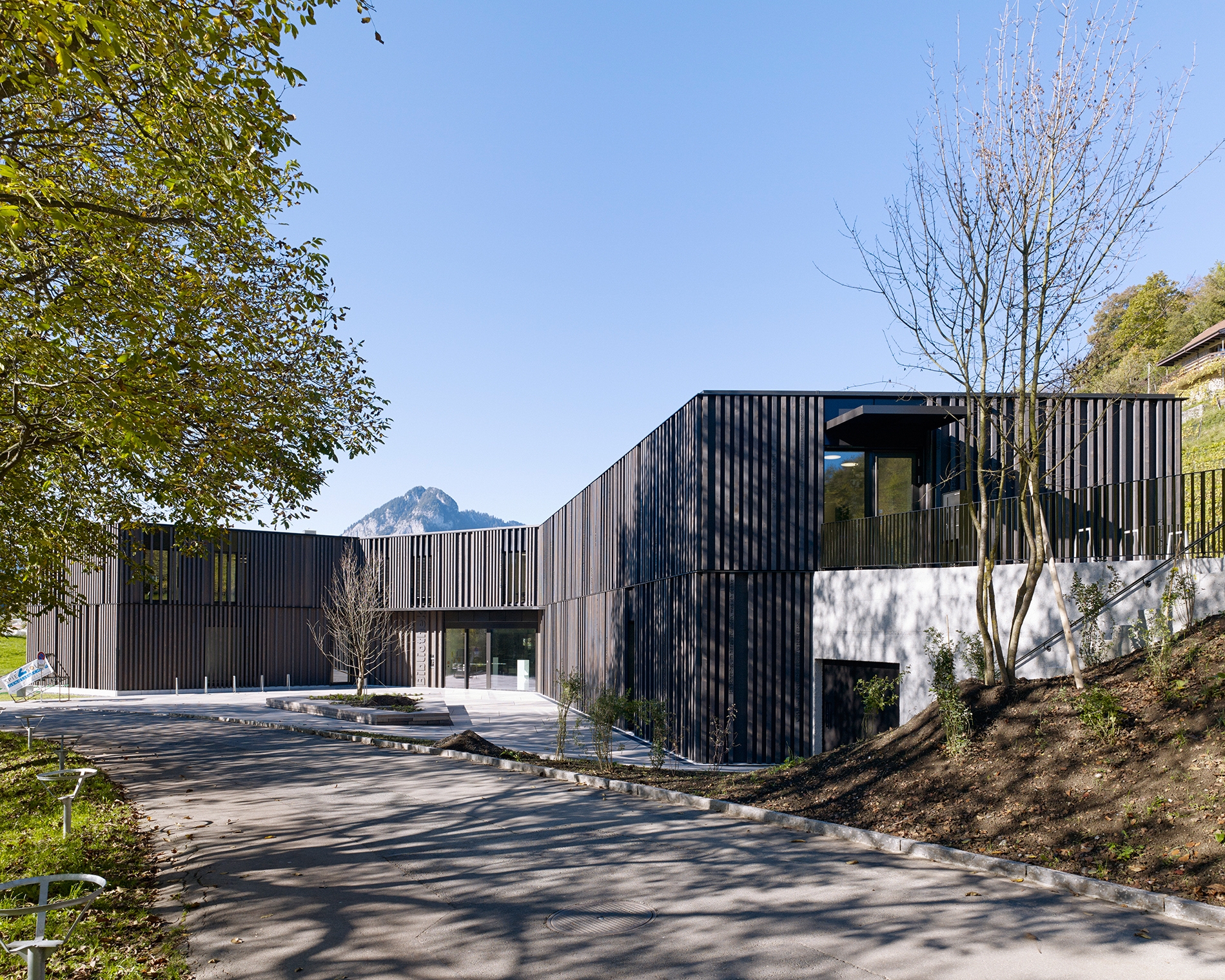 Leggi sul progetto Library | game library and municipal administration | Spiez