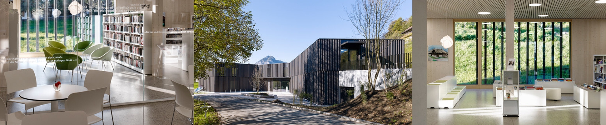 Read about project Library | game library and municipal administration | Spiez