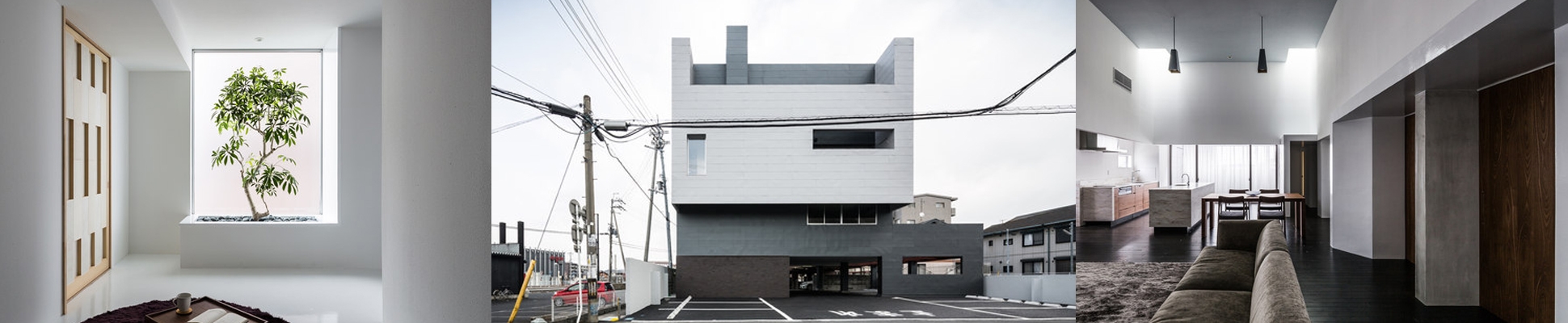 Read about project Complex M